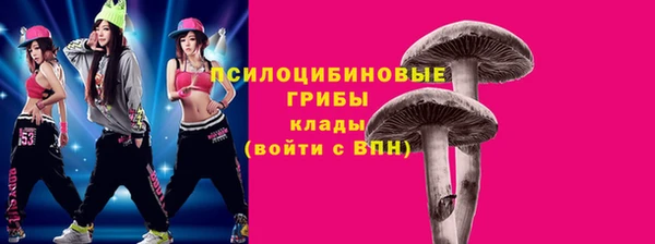 стафф Липки