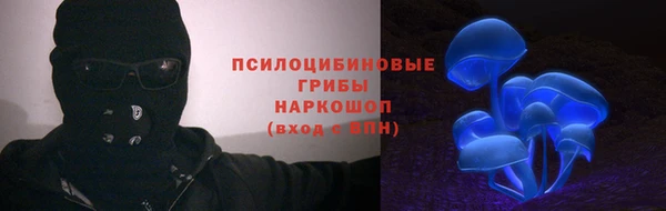 стафф Липки