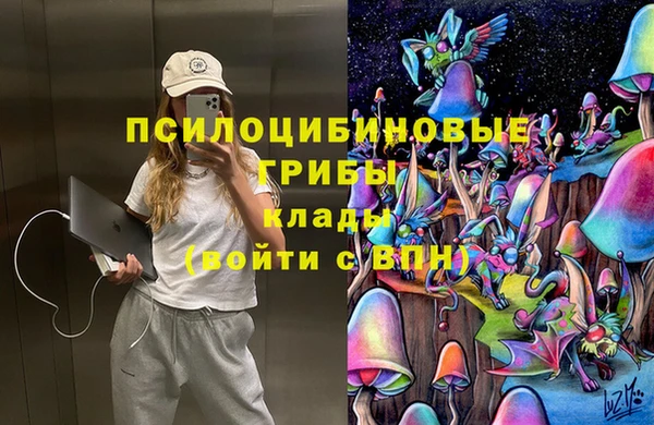соль ск Лиски
