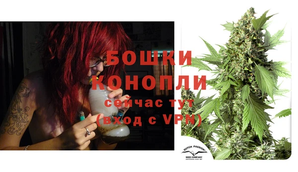 крисы Братск