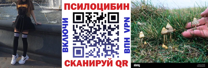 мега ТОР  Петропавловск-Камчатский  Галлюциногенные грибы GOLDEN TEACHER 