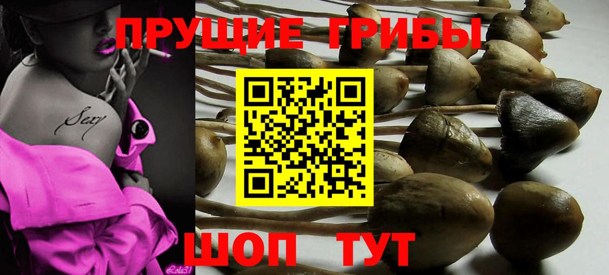 Псилоцибиновые грибы MAGIC MUSHROOMS  Петропавловск-Камчатский 